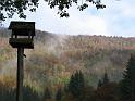 Ecouges 005